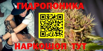 винт Чапаевск