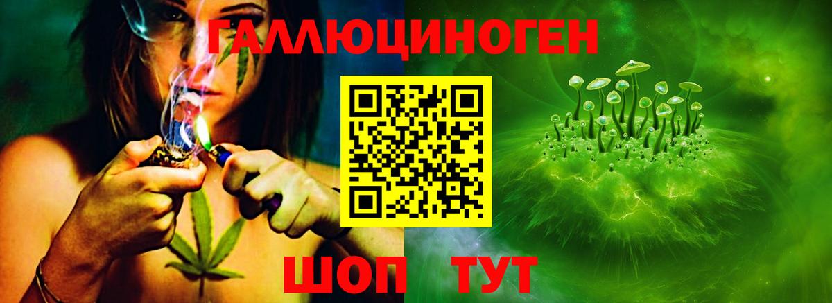 Галлюциногенные грибы Psilocybine cubensis Качканар